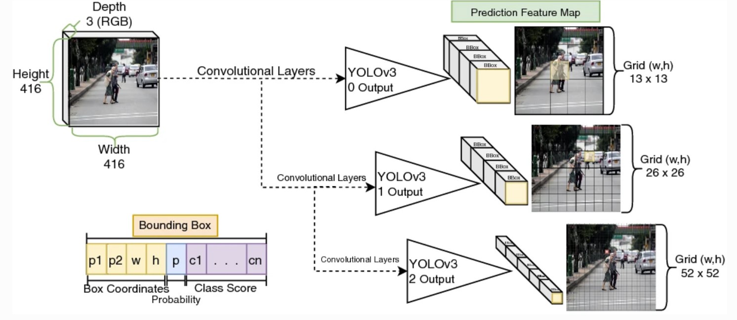 YOLO output